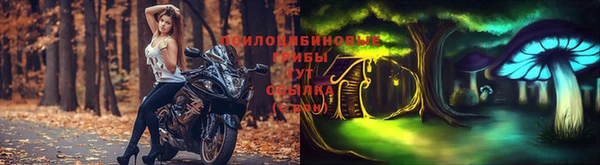 дживик Арсеньев