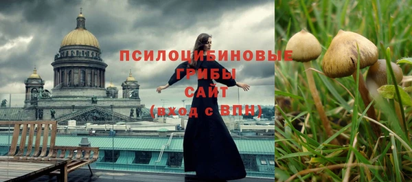 мдпв Нязепетровск